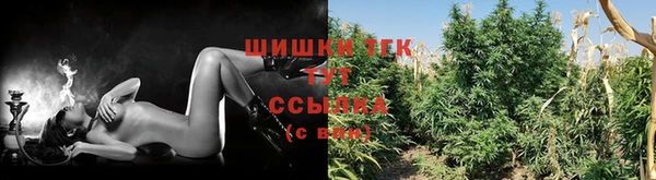 ешки Осташков