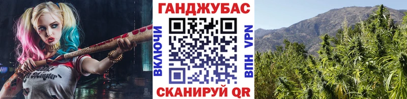 МАРИХУАНА Amnesia  купить закладку  Приморск 